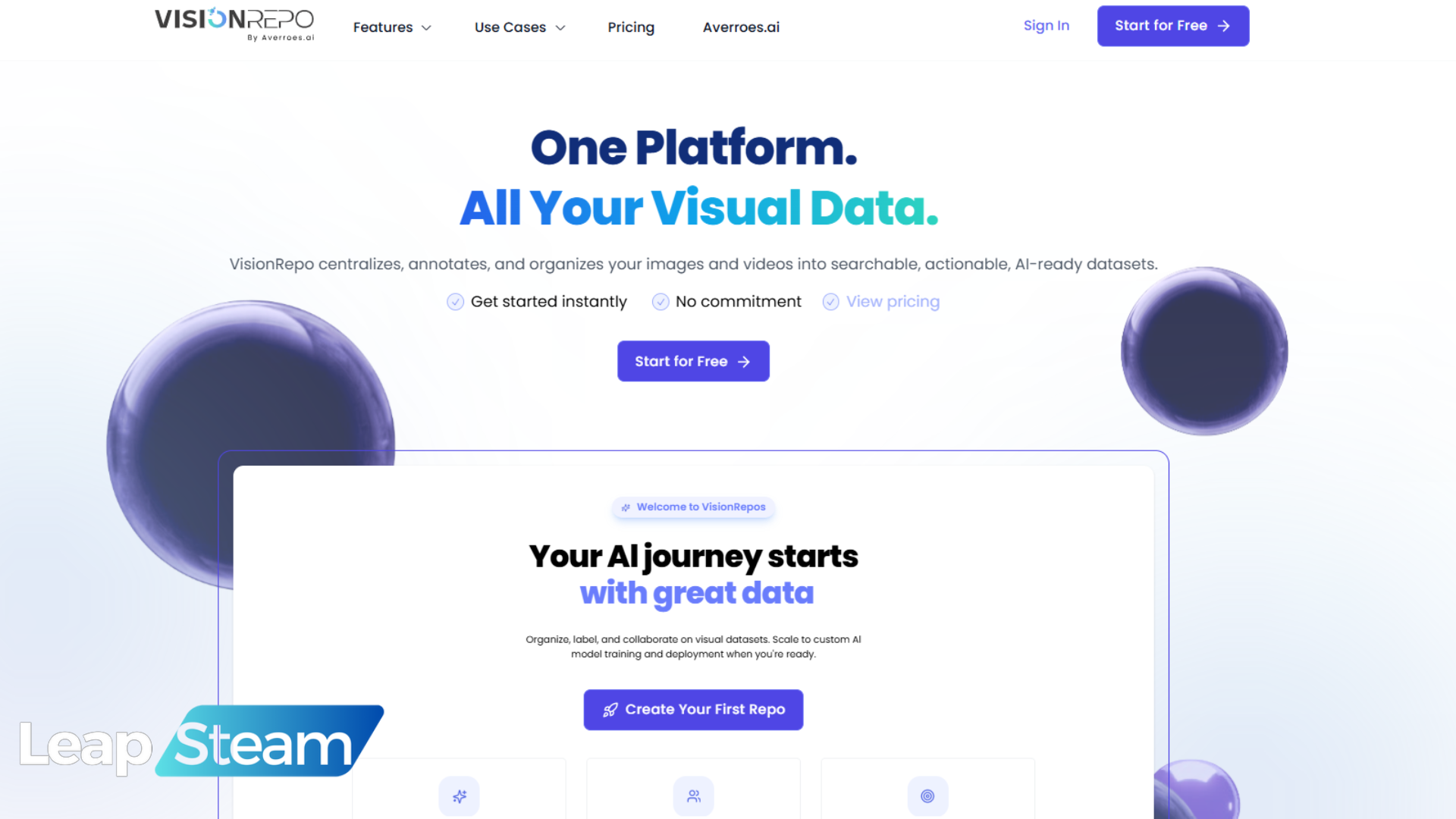 Image Credit VisionRepo